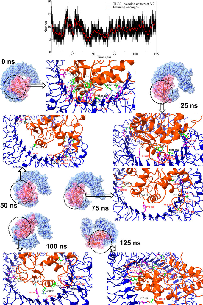 Fig 6