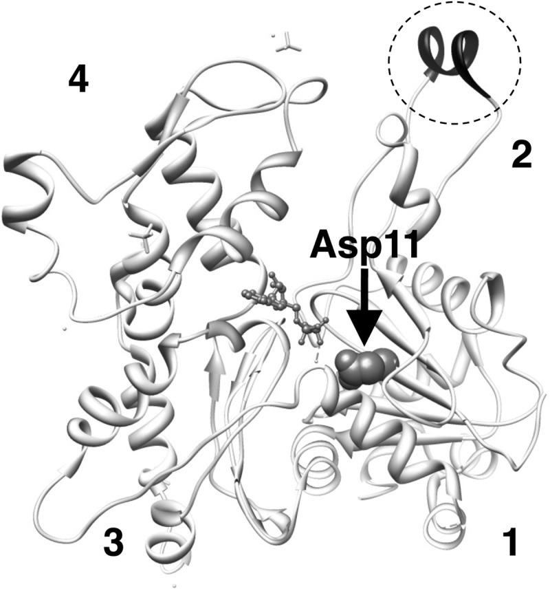 FIGURE 1.