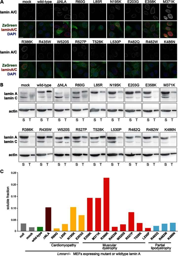 Figure 2.