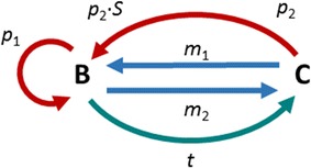 Fig. 1