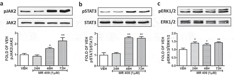 Figure 5.