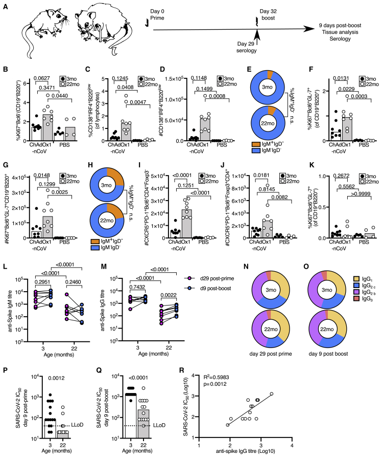 Figure 7