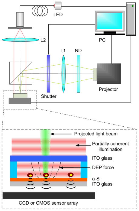 Fig.1