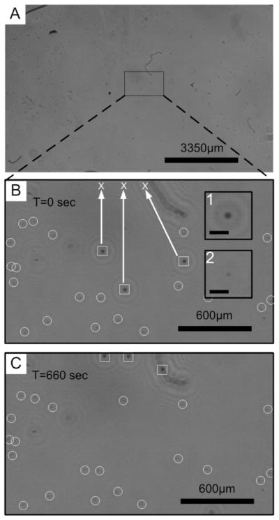 Fig. 5