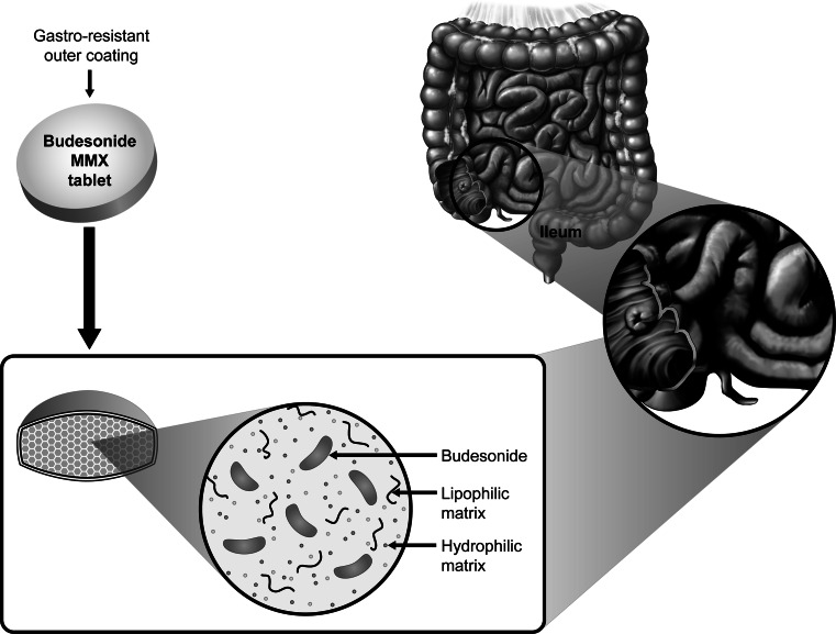 Fig. 1