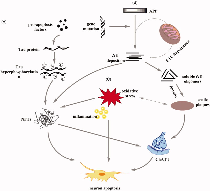 Figure 1.