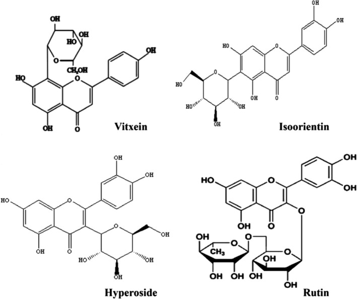 FIGURE 1