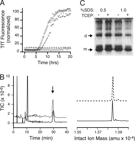 Fig. 3.