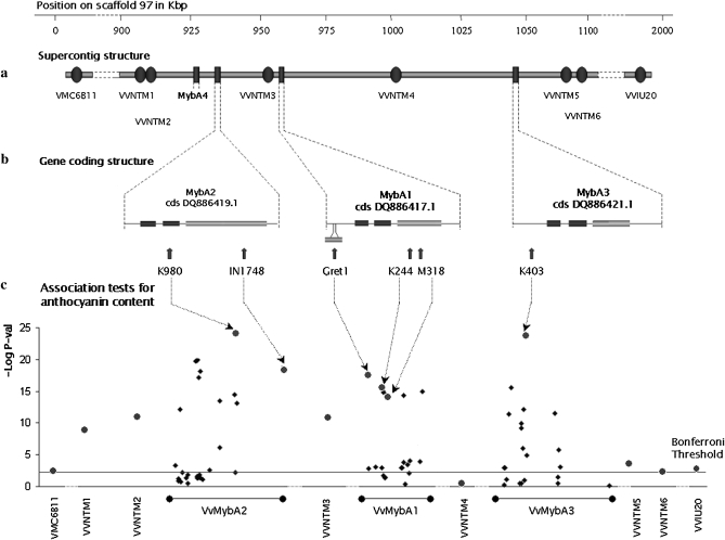 Figure 2.—