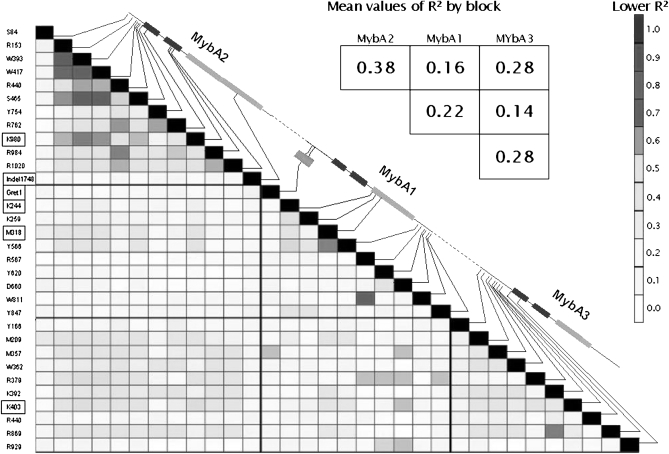 Figure 3.—