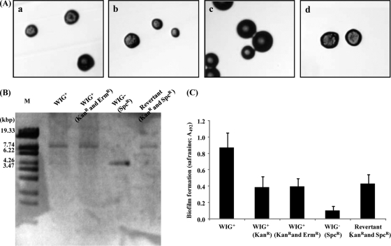 Fig. 3.