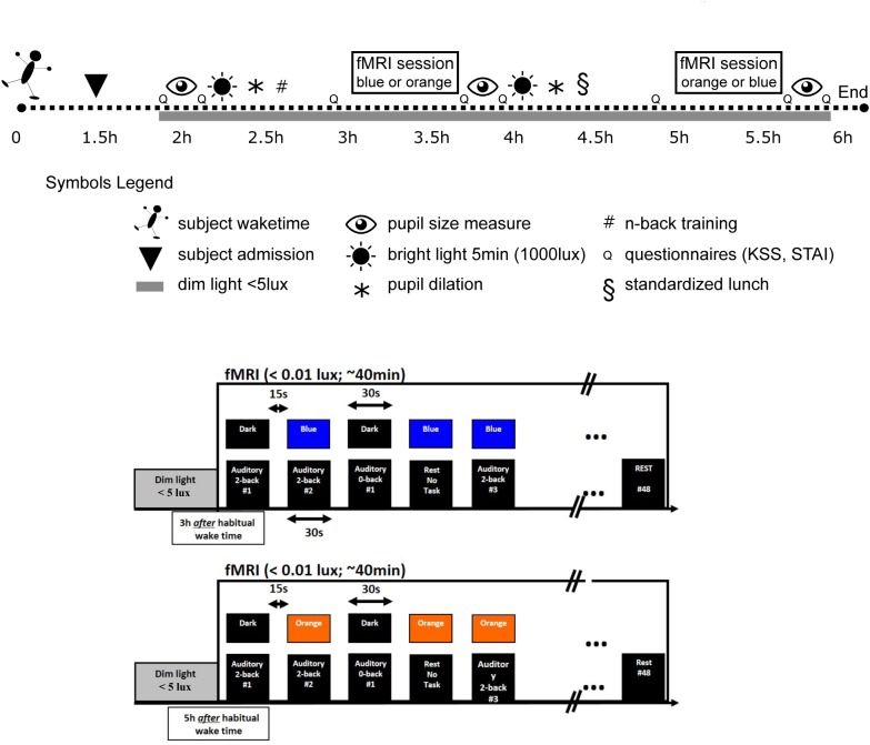 FIGURE 1