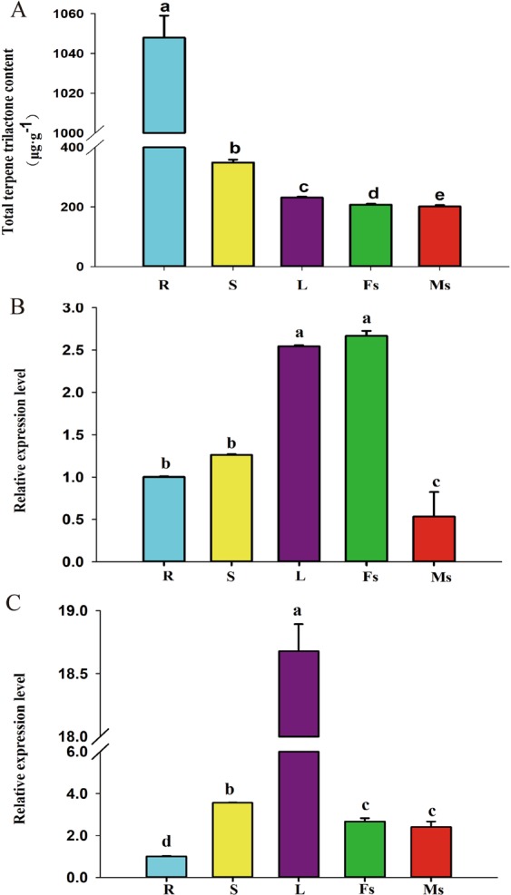 Figure 5