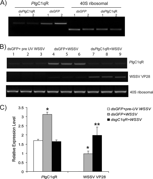 FIG. 6.