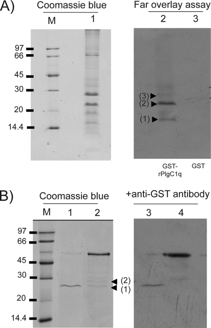 FIG. 9.