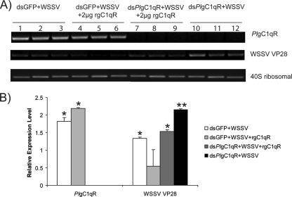 FIG. 7.