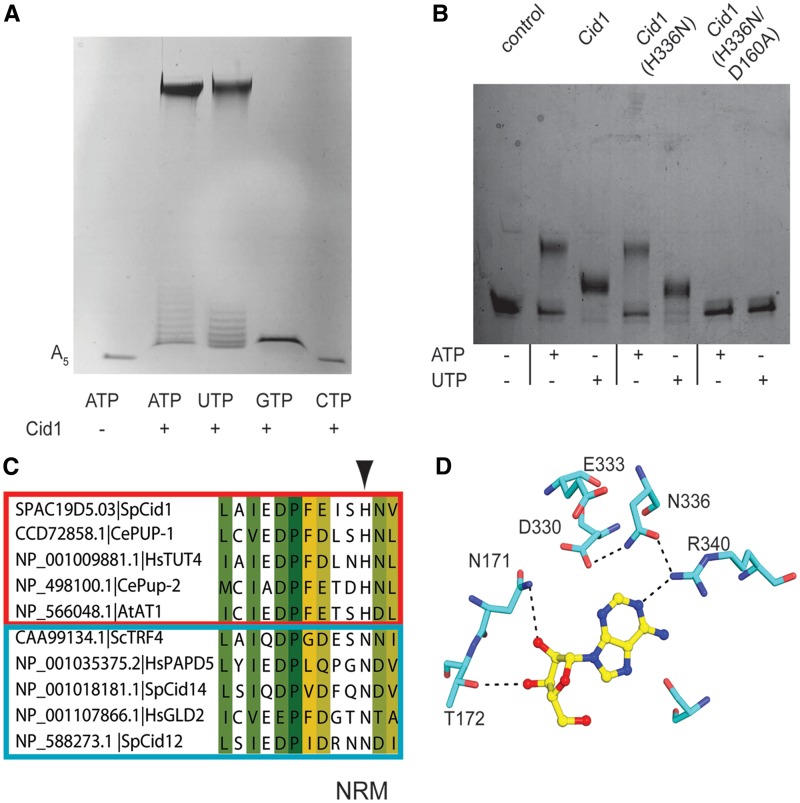 Figure 4.