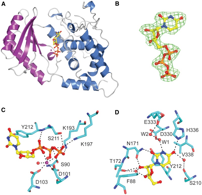 Figure 2.