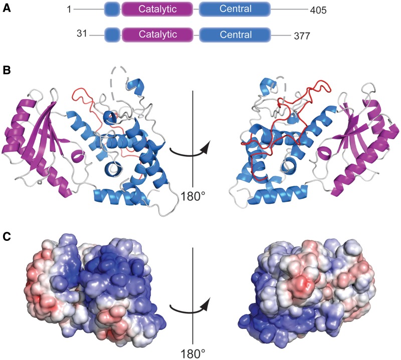 Figure 1.