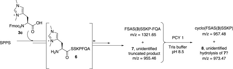 Scheme 2. 