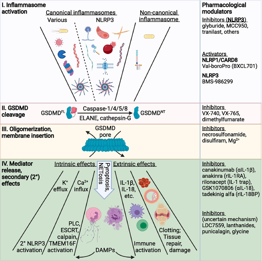 Figure 2: