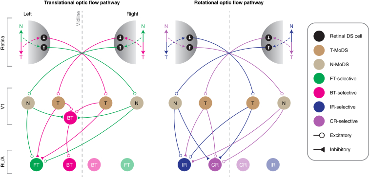 Figure 6