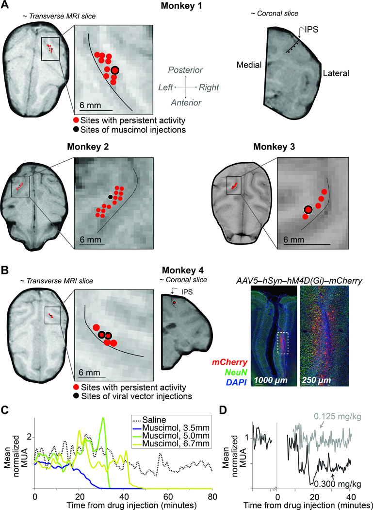 Figure 2: