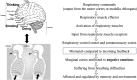 Figure 4: