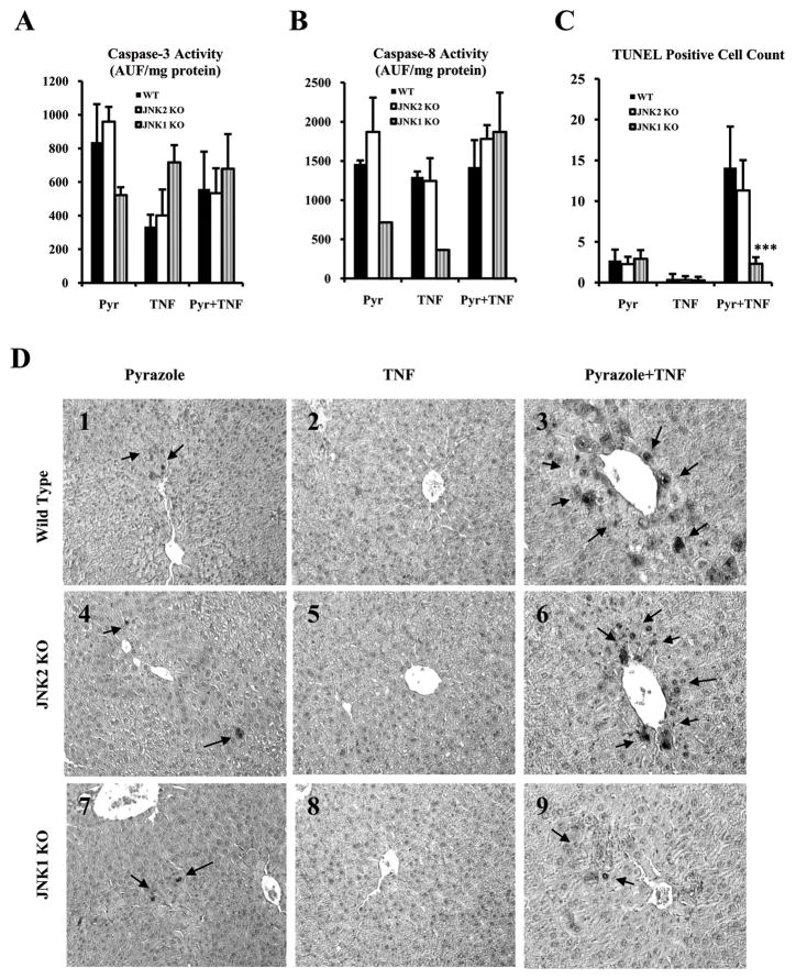 Fig.2