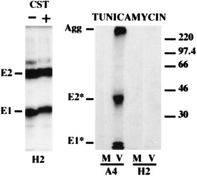 FIG. 7