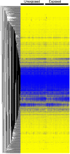 <b>Figure 1.</b>