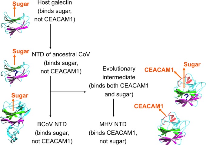 FIG 6