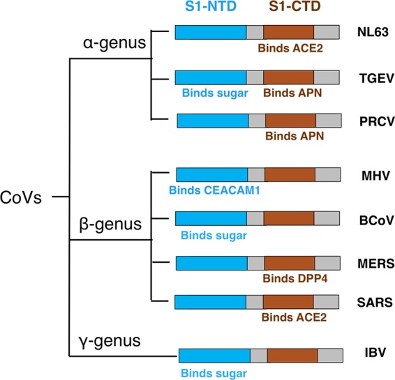 FIG 1