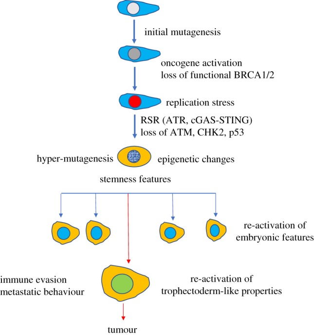 Figure 2.