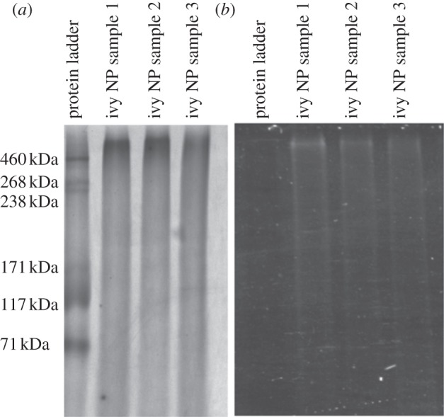 Figure 7.