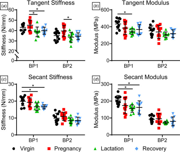 Tendon fatigue properties. (a) Tangent stiffness was higher in the pregnancy group compared to lactation at BP1 and BP2, while (b) tangent modulus was greater in virgin rats compared to lactation at BP1. (c) Secant stiffness and (d) secant modulus were also greater in virgin rats compared to lactation and recovery groups at BP1. Data are presented as mean ± standard deviation. Significant differences are indicated by solid bars (*p ≤ 0.05, **p ≤ 0.01, ***p ≤ 0.001).