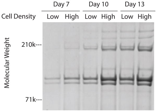 Fig 5