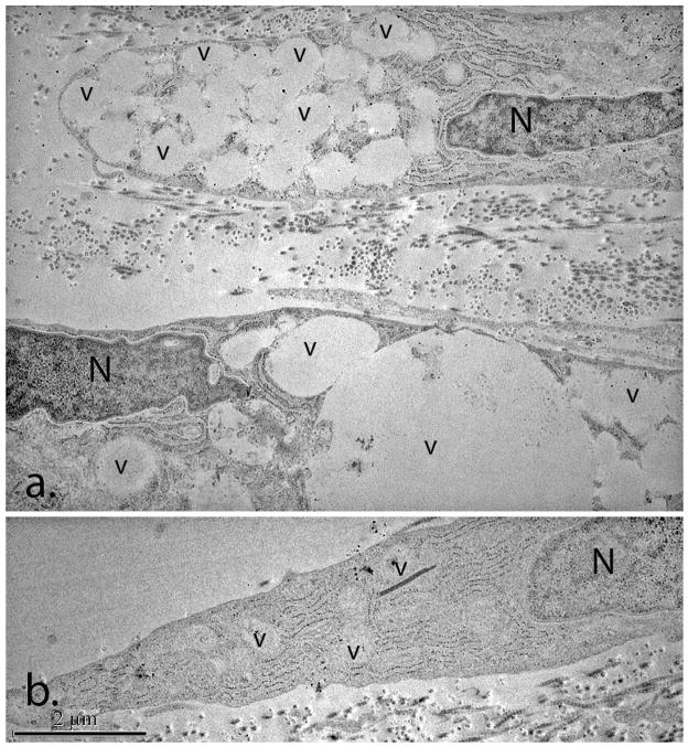 Fig 7