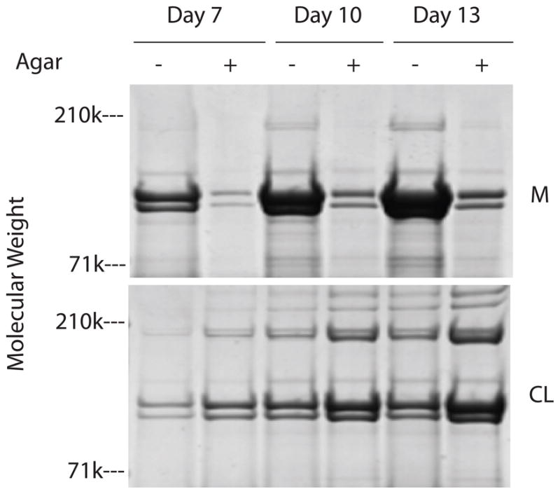 Fig 9