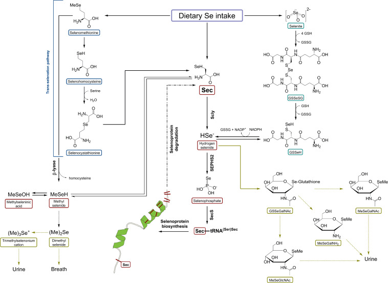 FIGURE 3