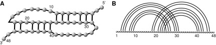 FIG. 1.