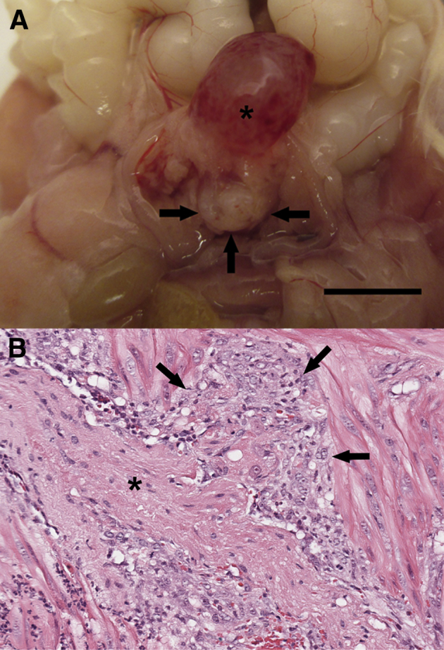 Figure 4