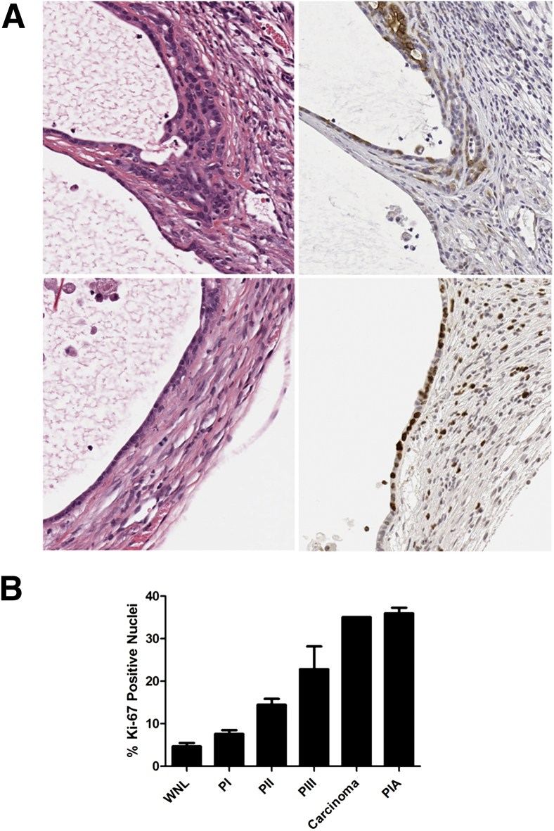 Figure 5