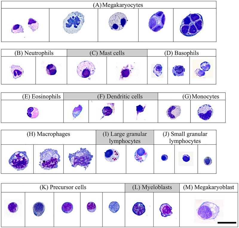 Fig 3