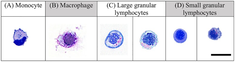 Fig 4