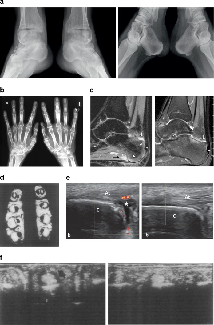 Fig. 4