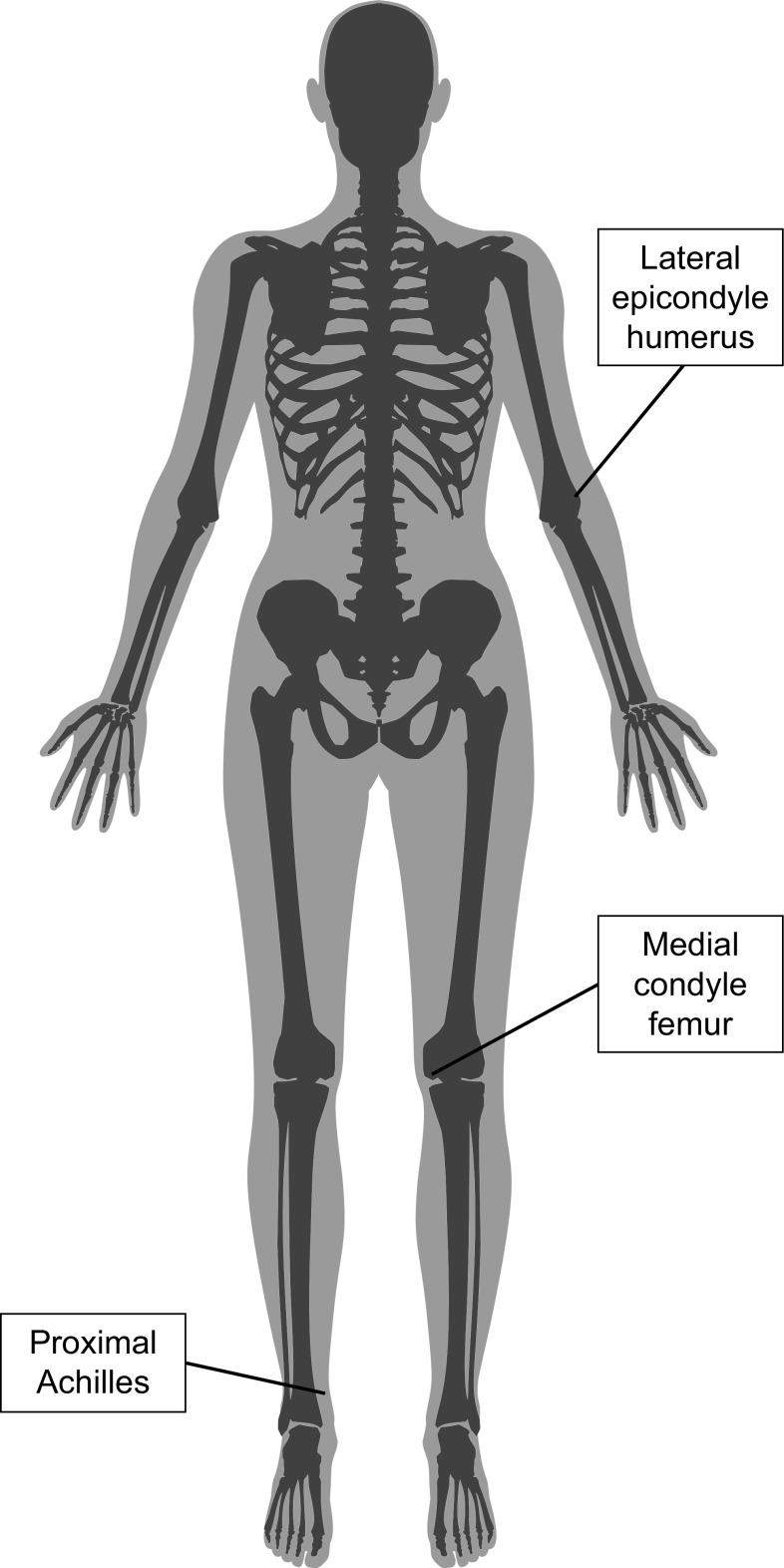 Fig. 6