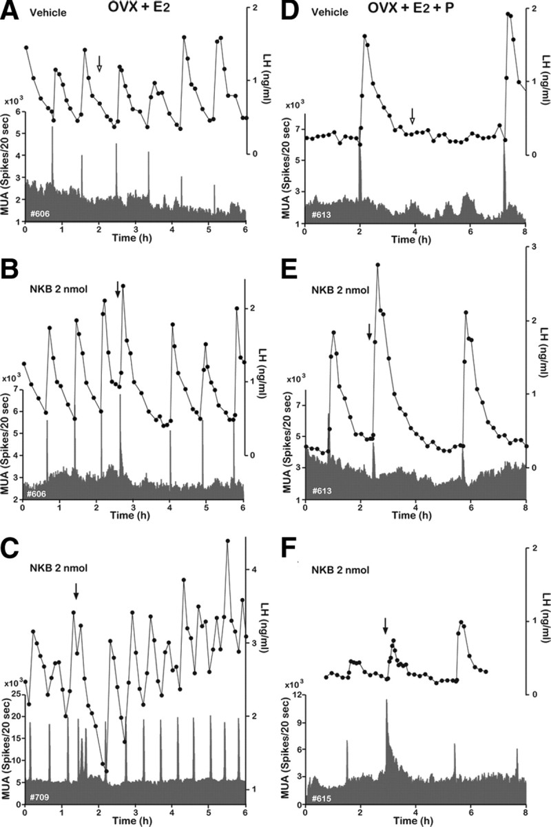 Figure 4.