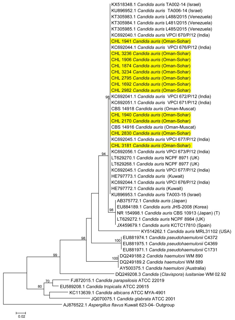 Figure 3