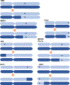 Extended Data Fig.6|